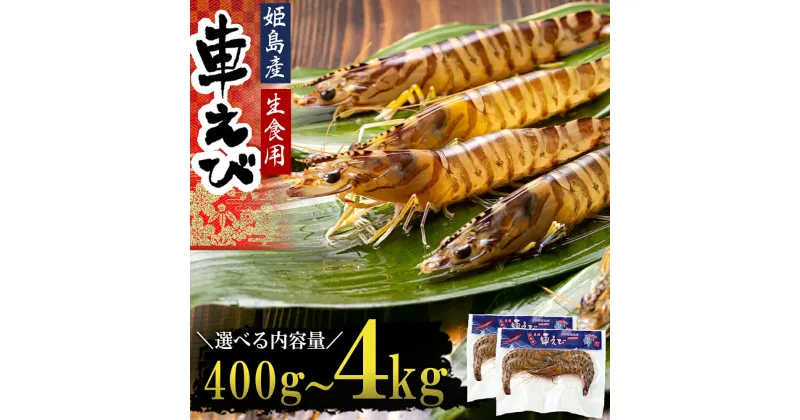 【ふるさと納税】生食用 凍眠 凍結 姫島 車えび ( 養殖 ) 約 400g～4.0kg A1