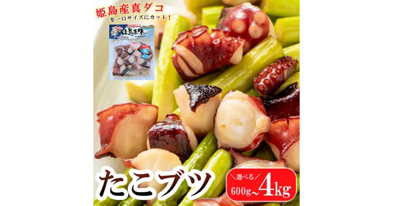 【ふるさと納税】たこブツ 選べる容量! 600g～4kg たこ タコ 蛸 たこ焼き たこ飯 タコから揚げ 冷凍 海鮮 新鮮 魚介 海の幸 海産 送料無料 B1