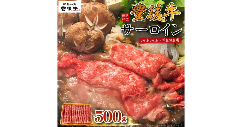 【ふるさと納税】 【 厳選部位 】 豊後牛 サーロイン しゃぶしゃぶすき焼き用 500g 牛肉 肉 お肉 サーロイン しゃぶしゃぶ すき焼き ギフト プレゼント 贈答 化粧箱入り 国産 九州産 大分県産 D19