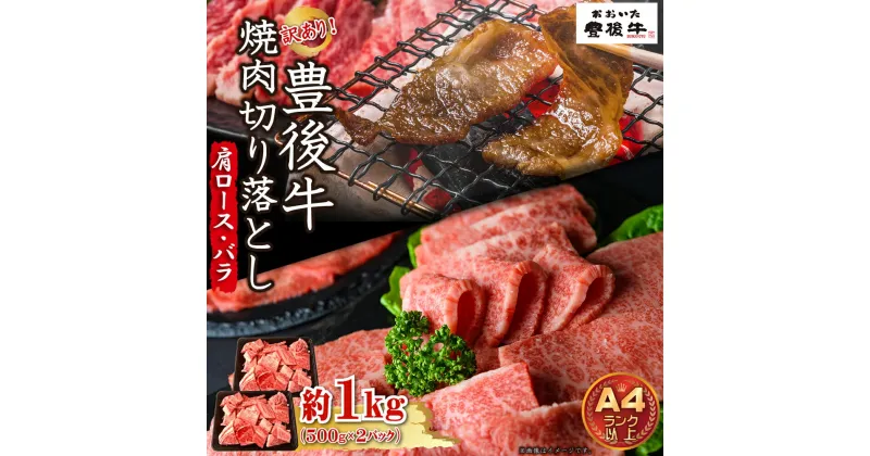 【ふるさと納税】 訳あり！ 【 A4 ～ A5 】 豊後牛 焼肉 切り落とし ( 肩ロース ・ バラ ) 1kg ( 500g × 2p ) 牛肉 肉 お肉 肩 バラ 焼肉 BBQ ギフト プレゼント 贈答 化粧箱入り 国産 九州産 大分県産 D24