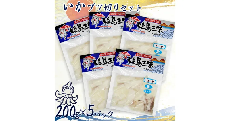 【ふるさと納税】いか ブツ イカ 烏賊 ぶつ切り 真空パック 揚げ物 炒め物 お好み焼き アヒージョ にも 200g × 5袋 大分県 姫島村 姫島 B2