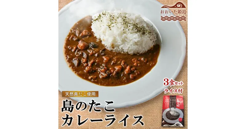 【ふるさと納税】 島のたこカレーライス　3食セット タコ たこ 大分県 姫島村 ひめしま村 C16