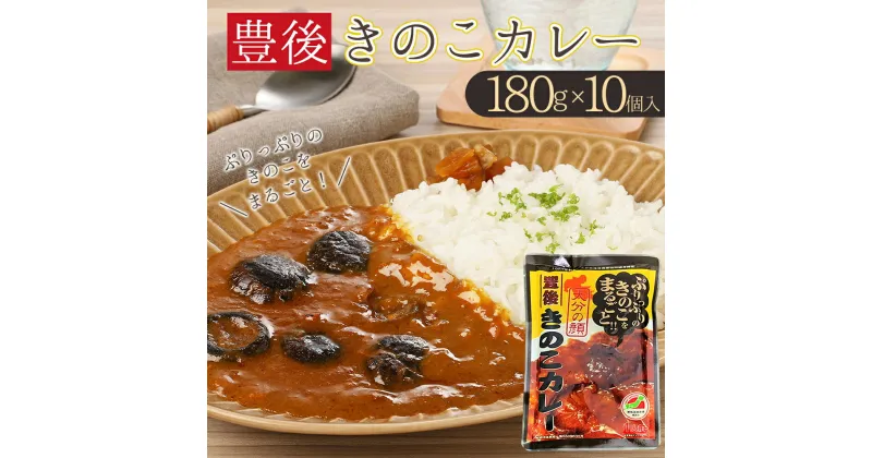 【ふるさと納税】 豊後 きのこ カレー 10個セット キノコ 椎茸 シイタケ 大分県 姫島村 ひめしま村 F6