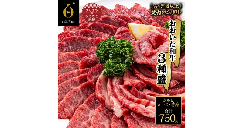 【ふるさと納税】おおいた和牛 焼肉 にピッタリ! 牛肉 の3種盛( カルビ ・ ロース ・ 赤身 )(合計750g) _ 肉 お肉 焼き肉 焼肉 食べ比べ 黒毛和牛 和牛 ギフト プレゼント 高級 バーベキュー BBQ【配送不可地域：離島】【1089360】