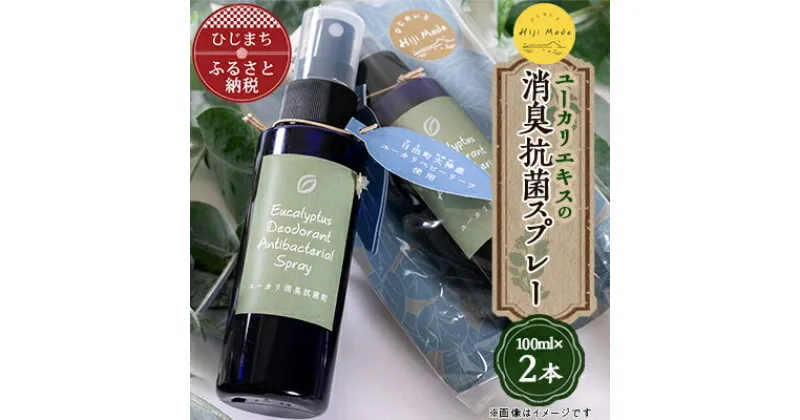 【ふるさと納税】【ひじめいど】ユーカリエキスの消臭抗菌剤(100ml×2本)　AX01【1090124】