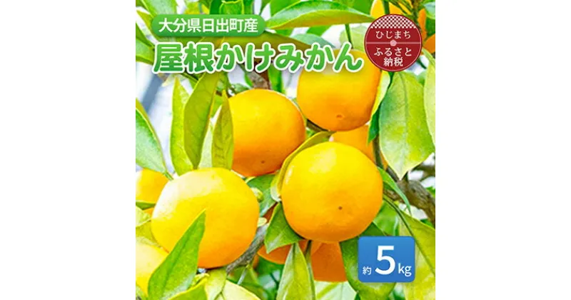 【ふるさと納税】【1月より発送】屋根かけみかん 約5kg(ダンボール箱入り)【1106336】