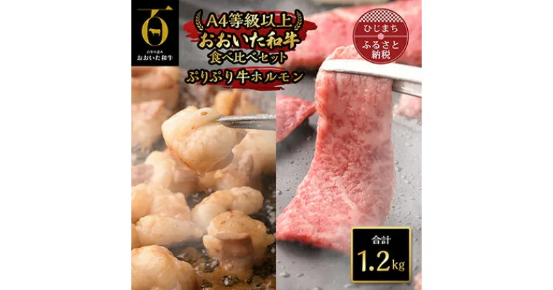 【ふるさと納税】おおいた和牛食べ比べセット&ぷりぷり牛ホルモン(合計1.2kg)【1112603】