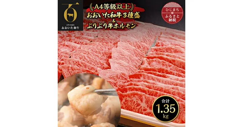 【ふるさと納税】おおいた和牛3種盛&ぷりぷり牛ホルモン(合計1.3kg) 焼くだけで本格焼き肉の味【配送不可地域：離島】【1112604】