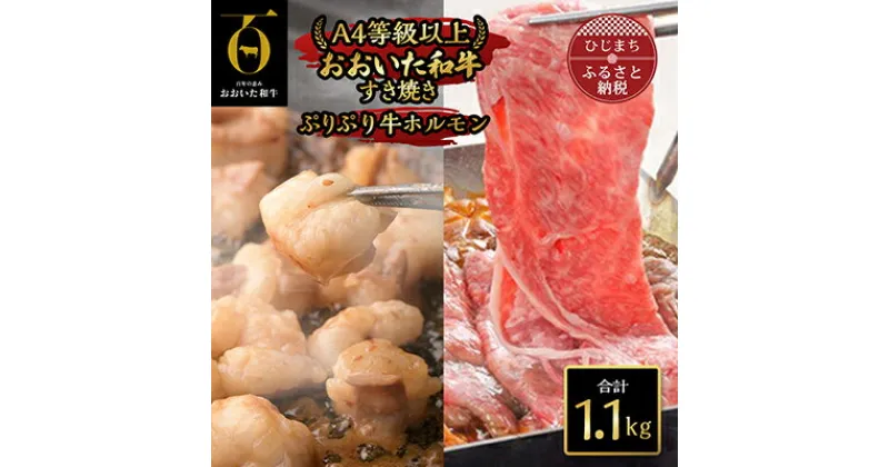 【ふるさと納税】おおいた和牛すき焼き&ぷりぷり牛ホルモン(合計1.1kg)【配送不可地域：離島】【1112605】