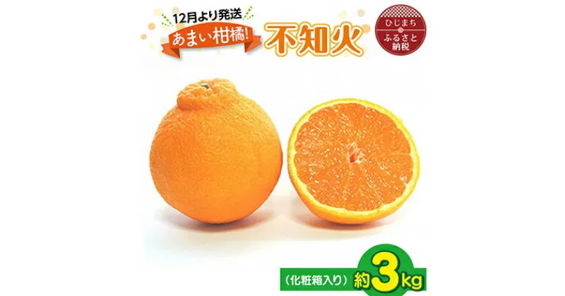 【ふるさと納税】【12月より発送】あまい柑橘!不知火 3kg(7～8玉または10玉)化粧箱入り【1134444】