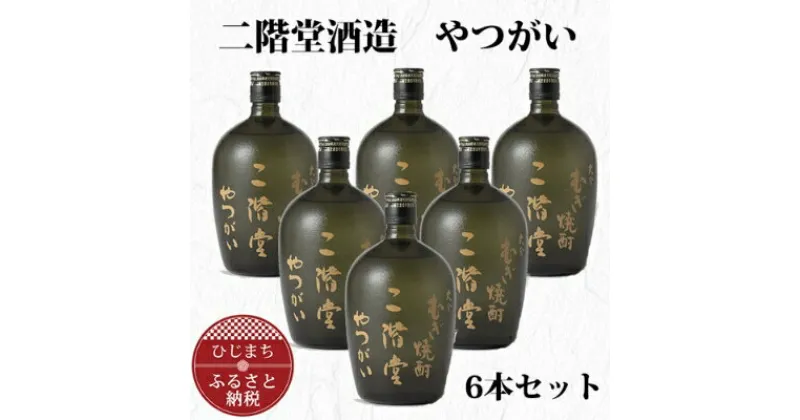 【ふるさと納税】大分むぎ焼酎 二階堂 やつがい 30度 (720ml) 6本セット AG37【1240568】