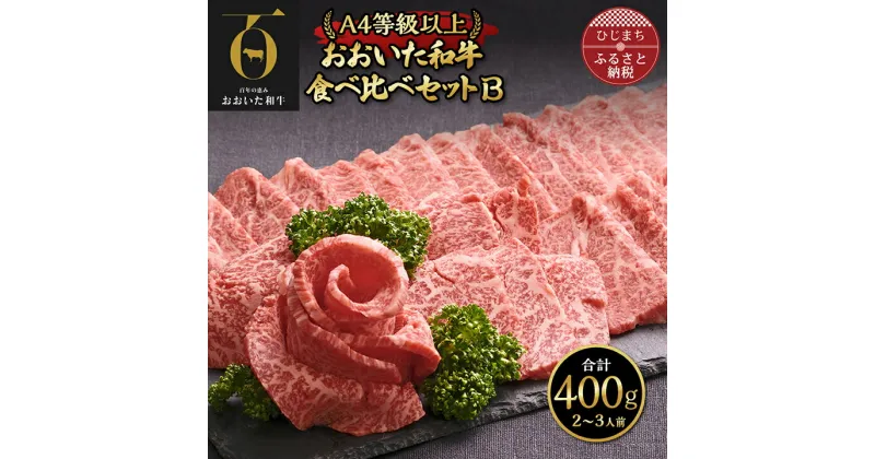 【ふるさと納税】おおいた和牛 食べ比べセットB( 上カルビ & 上ロース )(合計400g)2～3人前【配送不可地域：離島】【1292973】