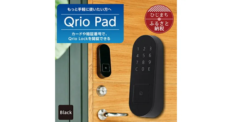 【ふるさと納税】Qrio Pad ブラック 暮らしをスマートにする生活家電【1305390】