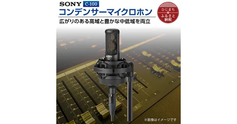 【ふるさと納税】 コンデンサー マイクロホン SONY C-100 _ ソニー マイク 高音質 配信 会議 テレワーク 録音 ゲーム 実況 youtube 【1340462】