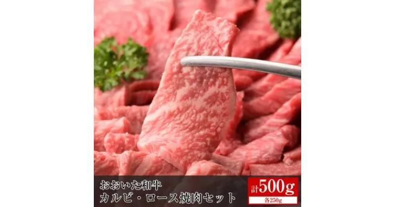 【ふるさと納税】おおいた和牛カルビ・ロース焼肉セット【合計500g】【配送不可地域：離島】【1395594】