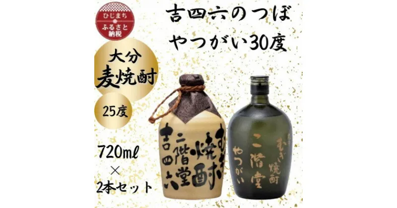 【ふるさと納税】大分むぎ焼酎　二階堂吉四六つぼ25度とやつがい30度(720ml)2本セット【1455221】