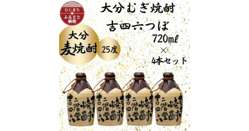 【ふるさと納税】大分むぎ焼酎　二階堂吉四六つぼ25度(720ml)4本セット【1455631】