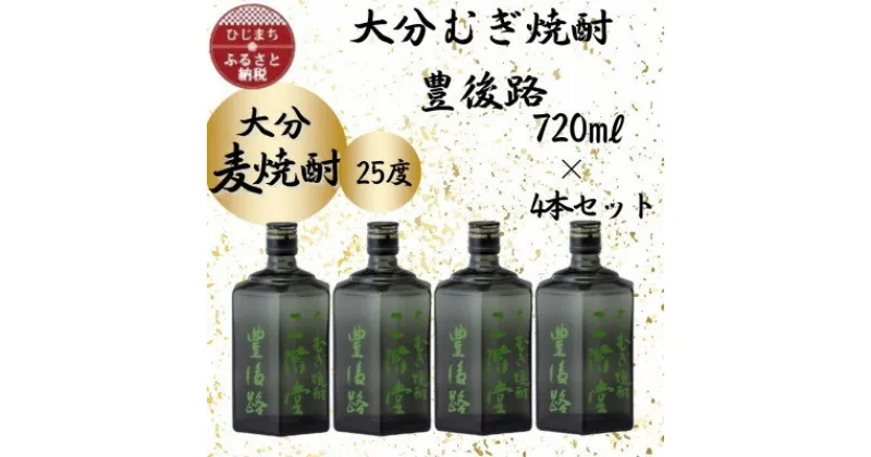 【ふるさと納税】大分むぎ焼酎　二階堂豊後路25度(720ml)4本セット【1455684】