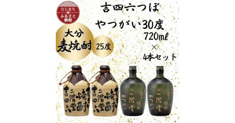 【ふるさと納税】大分むぎ焼酎　二階堂吉四六つぼ25度2本とやつがい30度2本(720ml)4本セット【1455794】