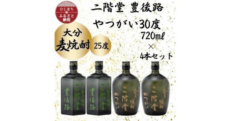 【ふるさと納税】大分むぎ焼酎　二階堂豊後路25度2本とやつがい30度2本(720ml)4本セット【1456131】