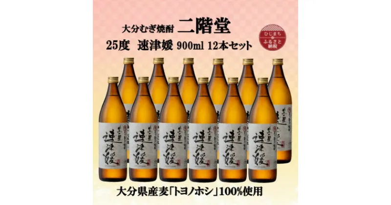 【ふるさと納税】大分むぎ焼酎　二階堂速津媛25度(900ml)12本セット【1494416】