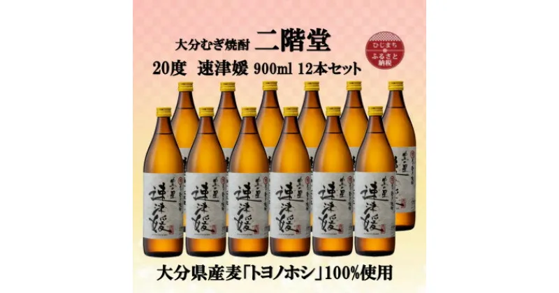 【ふるさと納税】大分むぎ焼酎　二階堂速津媛20度(900ml)12本セット【1494429】