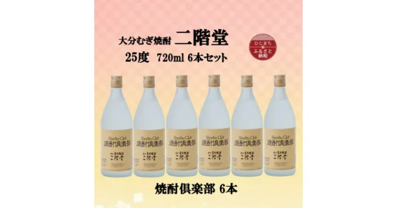 【ふるさと納税】大分むぎ焼酎　二階堂焼酎倶楽部25度(720ml)6本セット【1494479】