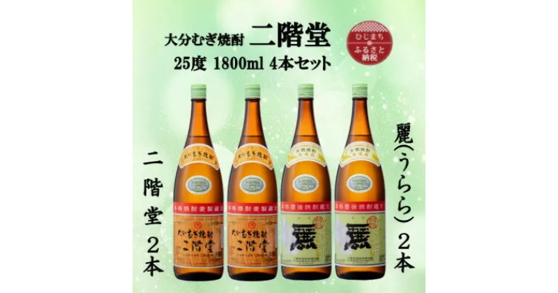 【ふるさと納税】大分むぎ焼酎　二階堂2本と麗(うらら)2本25度(1800ml)4本セット【1494833】