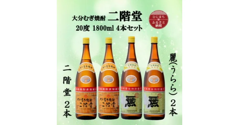 【ふるさと納税】大分むぎ焼酎　二階堂2本と麗(うらら)2本20度(1800ml)4本セット【1494839】