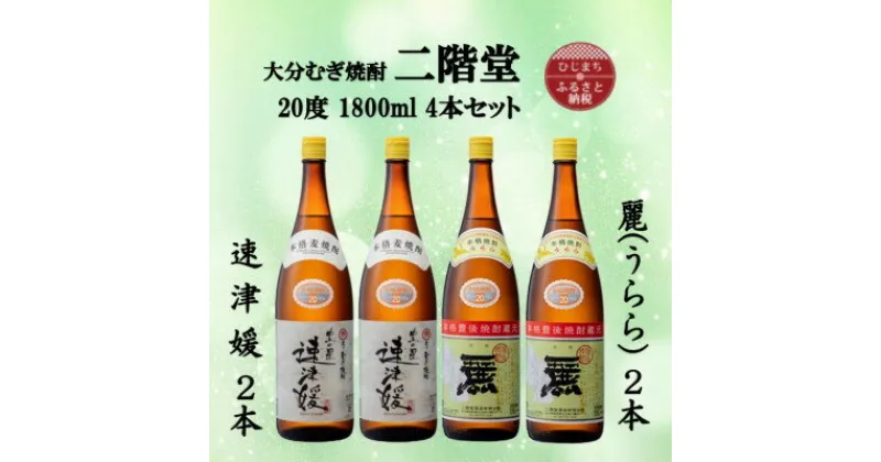 【ふるさと納税】大分むぎ焼酎　二階堂速津媛2本と麗(うらら)20度(1800ml)4本セット【1494852】