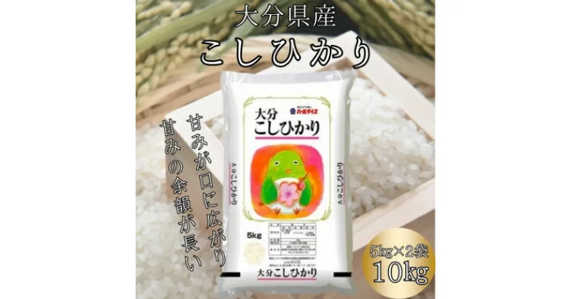 【ふるさと納税】【先行予約】【令和6年産】大分のお米　大分県産こしひかり5kg×2(日出町)【1500337】