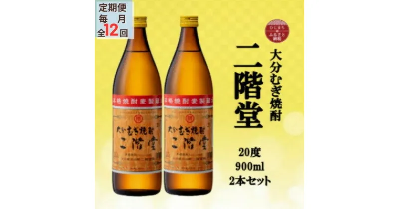 【ふるさと納税】【毎月定期便】大分むぎ焼酎　二階堂20度(900ml)2本セット全12回【4055322】