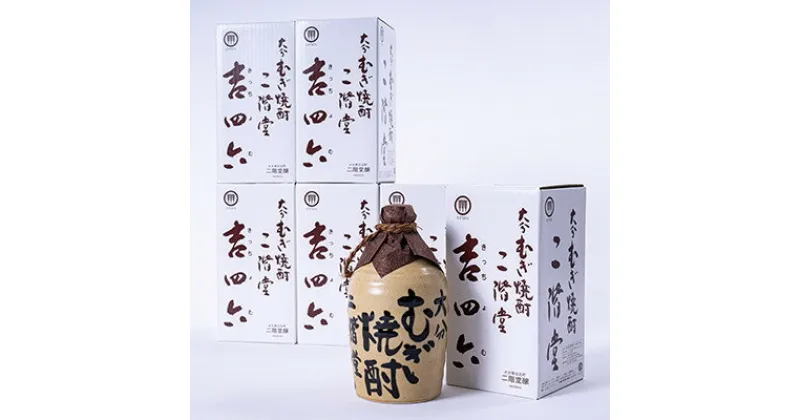 【ふるさと納税】大分むぎ焼酎　二階堂 吉四六つぼ 25度(720ml)6本セット【1550331】