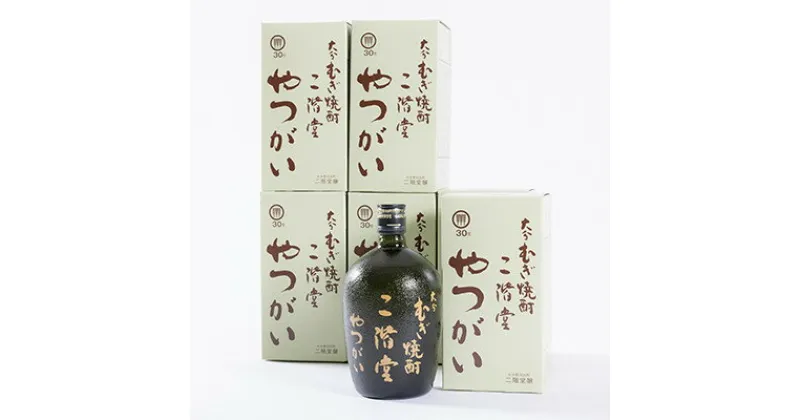 【ふるさと納税】大分むぎ焼酎　二階堂 やつがい30度(720ml)6本セット【1550346】