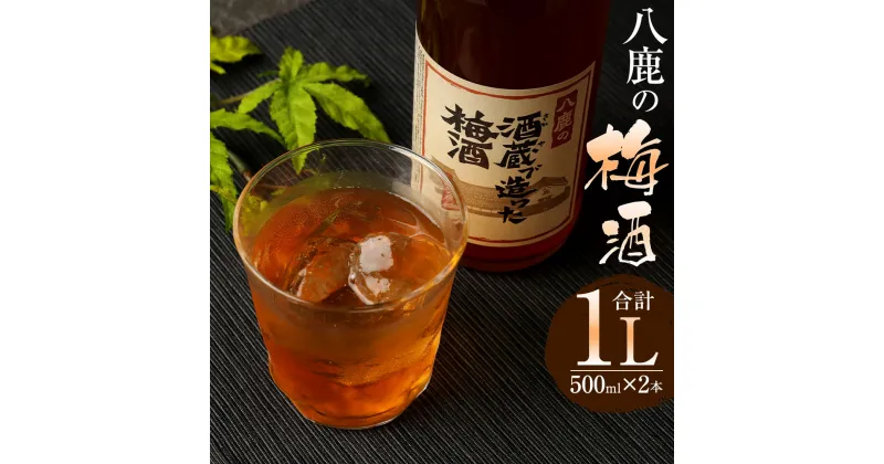 【ふるさと納税】やつしか 梅酒 セット 合計1L 500ml×2本 15度 お酒 アルコール 国産 九州産 大分県産 送料無料