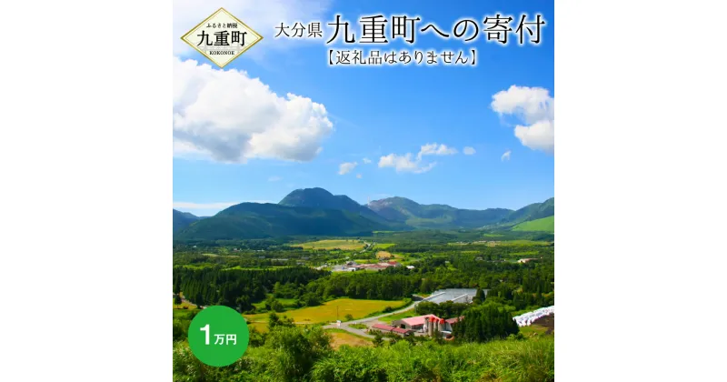 【ふるさと納税】九重町への寄付（返礼品はありません） 寄付 1万円