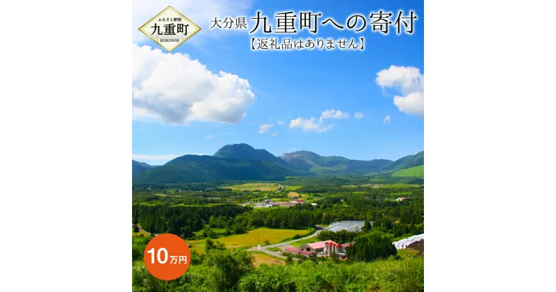 【ふるさと納税】九重町への寄付（返礼品はありません） 寄付 10万円