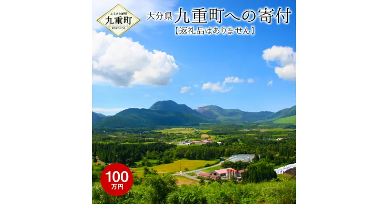 【ふるさと納税】九重町への寄付（返礼品はありません） 寄付 100万円