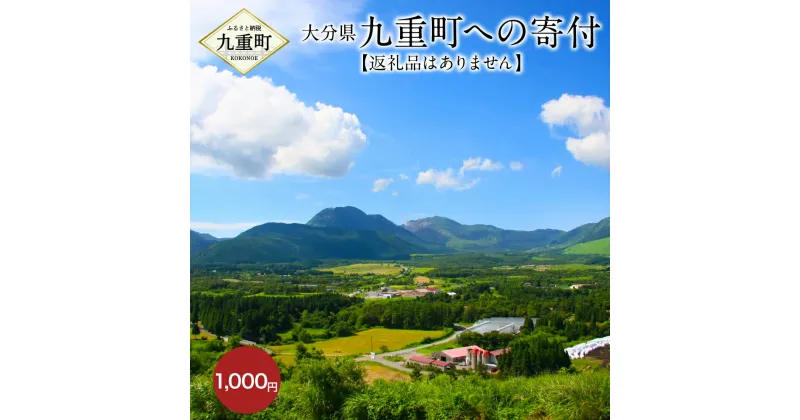 【ふるさと納税】九重町への寄付（返礼品はありません） 寄付 1,000円