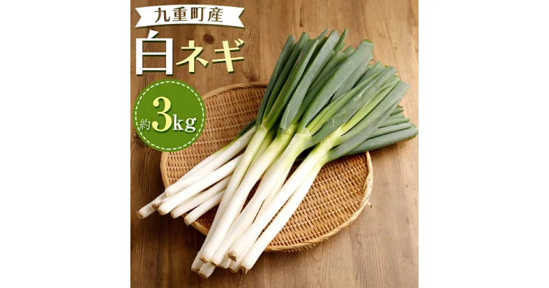 【ふるさと納税】白ネギ 約3kg 18本～30本 ねぎ ネギ 葱 高原ネギ 長ネギ 野菜 新鮮 旬 国産 九州産 大分県産 九重町 送料無料【2024年9月下旬-12月下旬発送】