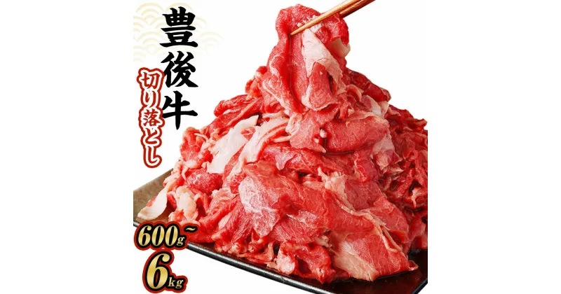 【ふるさと納税】豊後牛 切り落とし 600g～6kg 1パック約600g 豊後牛 牛肉 霜降り 小分け 和牛 お肉 国産 九州産 大分県産 九重町産 冷凍 送料無料