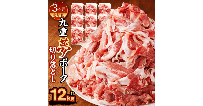 【ふるさと納税】【3ヶ月定期便】九重夢 ポーク お米豚 切り落とし 合計12kg 500g×8パック×3回 九重夢ポーク SPF豚 豚肉 小分け 真空パック お肉 切落し 国産 九州産 大分県産 九重町産 冷凍 送料無料