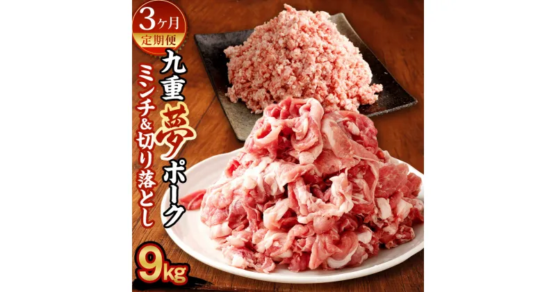 【ふるさと納税】【3ヶ月定期便】九重夢 ポーク お米豚 ミンチ 切り落とし セット 食べ比べ 合計9kg 500g×6パック×3回 九重夢ポーク SPF 切り落とし 切落し豚 豚肉 小分け 真空パック お肉 豚ミンチ ひき肉 挽肉 挽き肉 国産 九州産 大分県産 九重町産 冷凍 送料無料