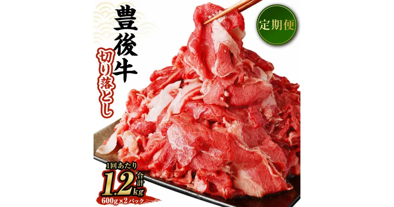 【ふるさと納税】【定期便】豊後牛 切り落とし 1回あたりの内容量 計約1.2kg 約600g×2パック 豊後牛 牛肉 霜降り 小分け 和牛 お肉 国産 九州産 大分県産 九重町産 冷凍 送料無料