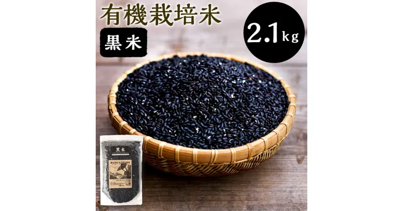 【ふるさと納税】さとうファームの有機栽培 黒米 2.1kg 700g×3袋 麦 玄米 お米 米 国産 九州 大分県 九重町 送料無料