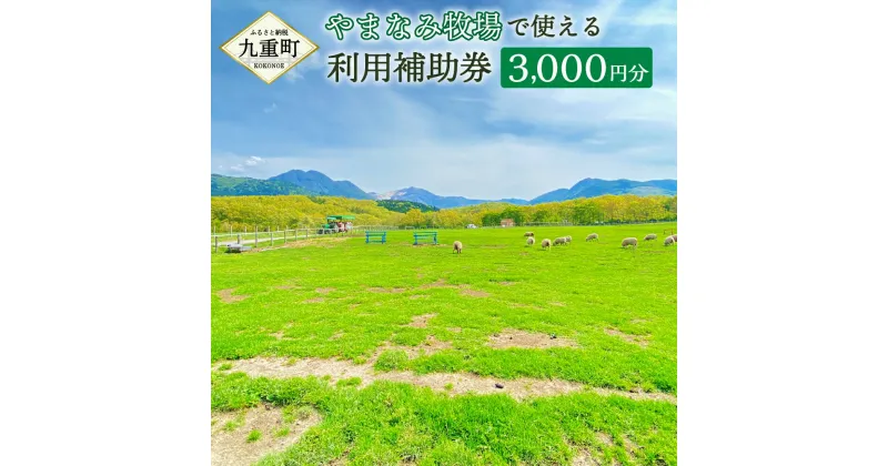 【ふるさと納税】やまなみ牧場で使える 利用補助券 3000円分 利用券 チケット くじゅう 牧場 観光 旅行 お買物 レジャー 乗馬 お食事 温泉 体験 動物 イベント 家族 ファミリー カップル 自然 九州 大分県 九重町 送料無料