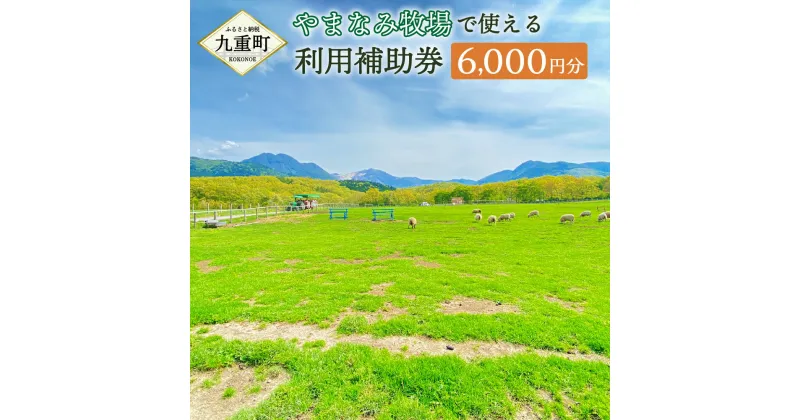 【ふるさと納税】やまなみ牧場で使える 利用補助券 6000円分 利用券 チケット くじゅう 牧場 観光 旅行 お買物 レジャー 乗馬 お食事 温泉 体験 動物 イベント 家族 ファミリー カップル 自然 九州 大分県 九重町 送料無料