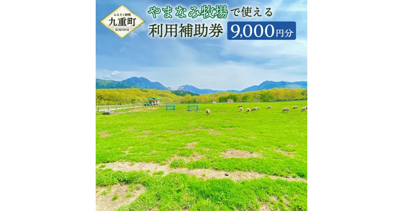 【ふるさと納税】やまなみ牧場で使える 利用補助券 9000円分 利用券 チケット くじゅう 牧場 観光 旅行 お買物 レジャー 乗馬 お食事 温泉 体験 動物 イベント 家族 ファミリー カップル 自然 九州 大分県 九重町 送料無料