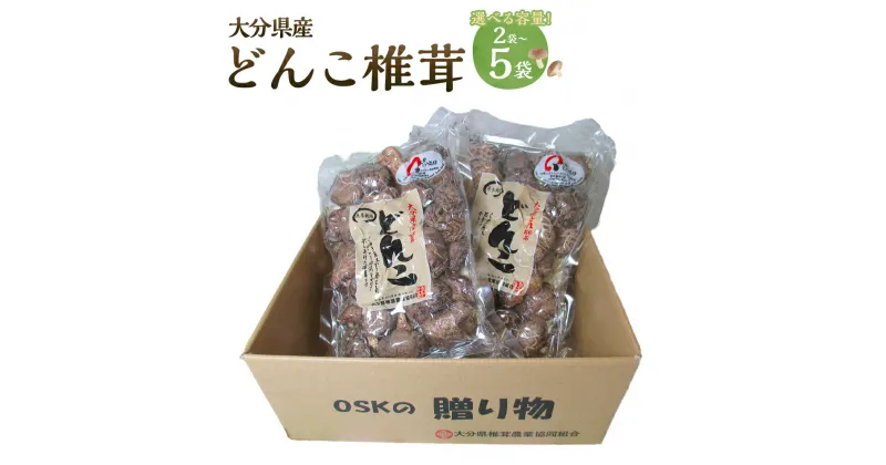 【ふるさと納税】大分県産 どんこ椎茸 1袋 100g 〈選べる〉2袋 または 5袋 椎茸 しいたけ 乾しいたけ キノコ きのこ 厚切り 春 国産 九州産 送料無料