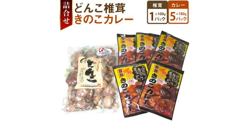 【ふるさと納税】どんこ椎茸・きのこカレー詰合せ 合計6袋 椎茸 しいたけ 乾しいたけ 厚切り カレー キノコ きのこ 春 国産 九州産 大分県産 送料無料